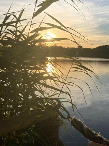 Lakeview Studios Wareham Εξωτερικό φωτογραφία